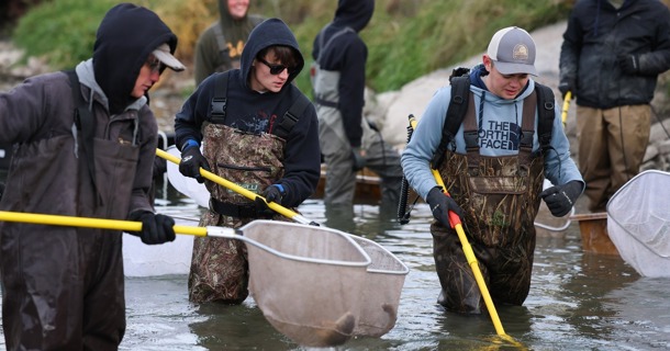 UNK students use electrofishing to document the different species in Kearney Canal. (Photo by Erika Pritchard, UNK Communications)