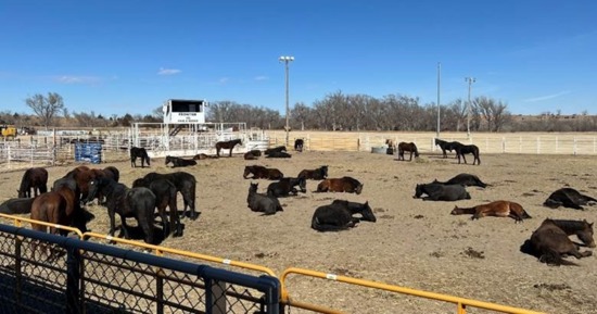 The Cottonwood Fire: On National Ag Week, It Takes Everyone