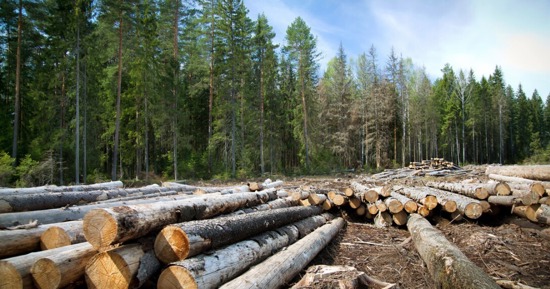 Craig Chandler/University Communication and Marketing