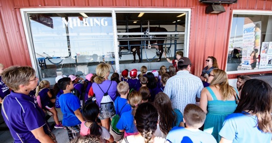 Dairy Month Celebrates Hard Work and a Glass Half Full