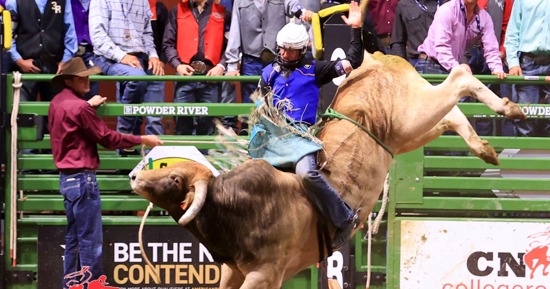 Trace Scarlavai rides Airdozer on the final day of the College National Rodeo Finals. (Jackie Jensen Photography)