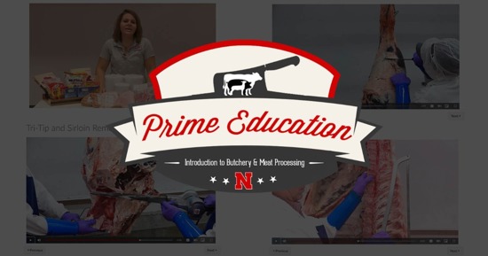 UNL and NCTA Partner in Online 'Prime Education' Course to Boost State Meat Processing Industry 