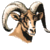 Crawford,Rams Mascot
